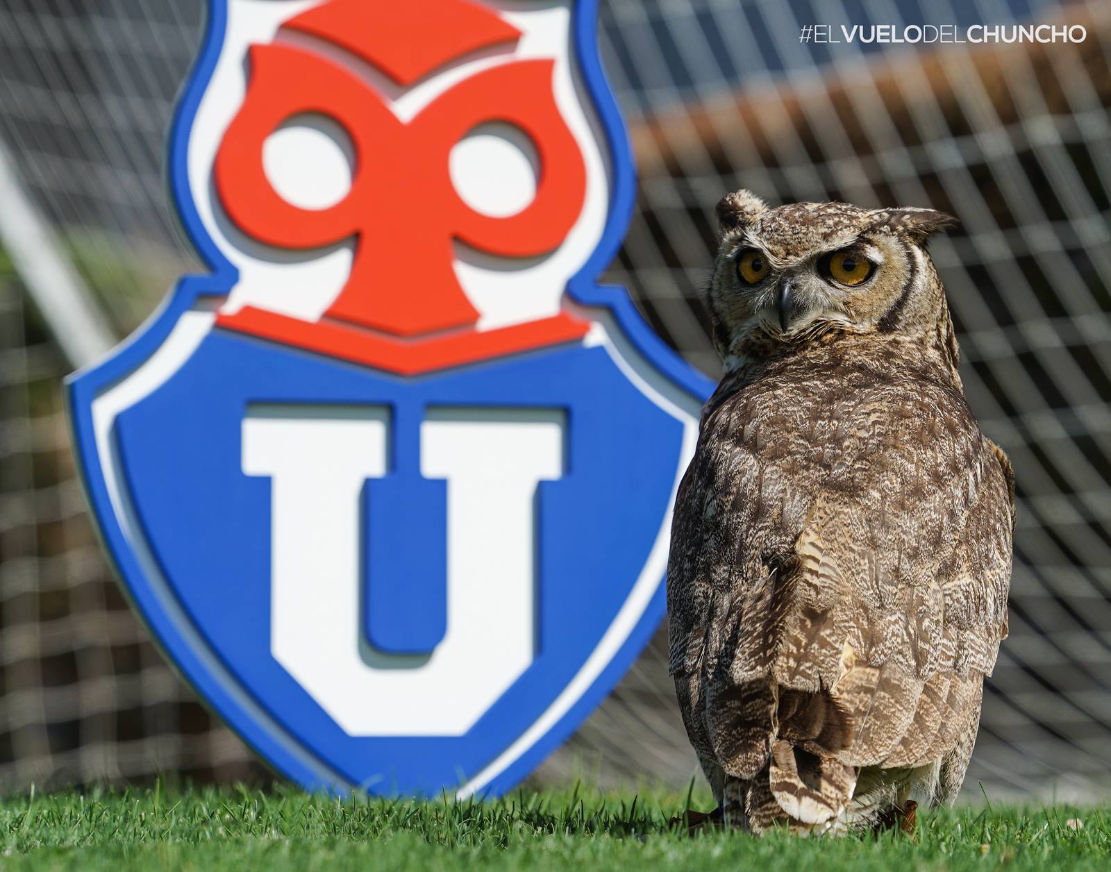 517903360_25216880547900347_6284379167176680492_n