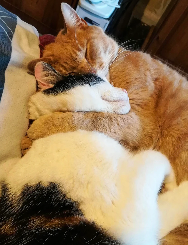 5b54cd5431ade7a7bbf8510905.jpg (1)