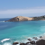 Screenshot_20260109-155223