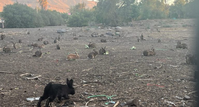 13-164559_ftxk_WhatsApp-Image-2026-02-13-at-13.28.43-1200x648