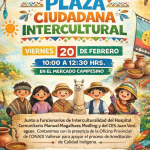 Screenshot_20260219-122414