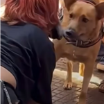 Screenshot_20260224-123341