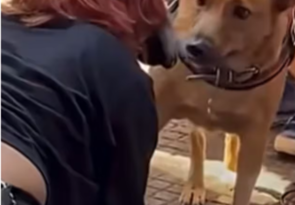 Screenshot_20260224-123341