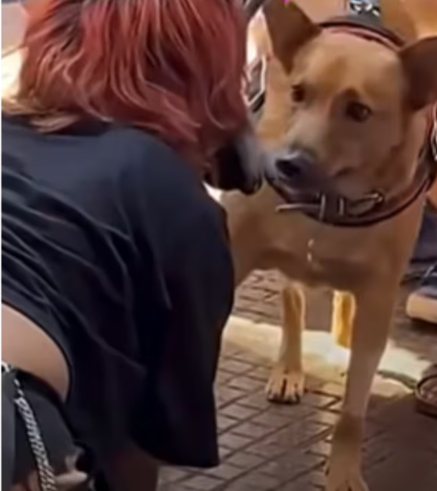 Screenshot_20260224-123341